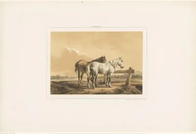 Twee paarden in een wei bij een hek