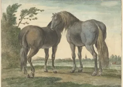 Twee paarden in een weide, op de achtergrond een kerktoren