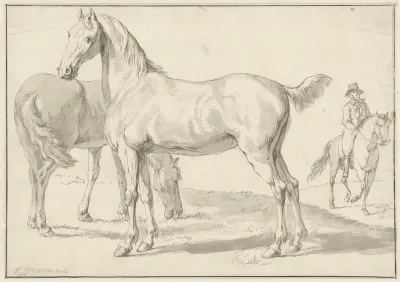 Twee paarden in een weide, rechts een ruiter