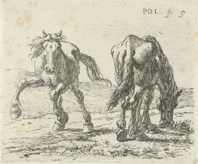 Twee paarden in een weide