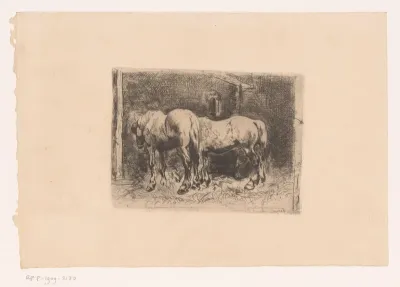 Twee paarden op stal