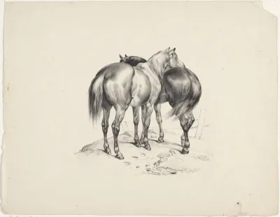Twee paarden van achteren gezien