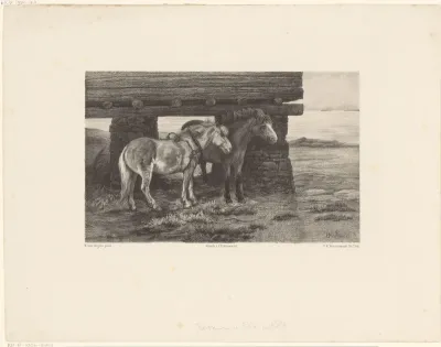 Twee paarden voor een schuur