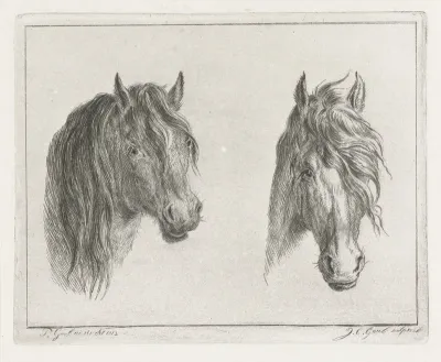 Twee paardenhoofden