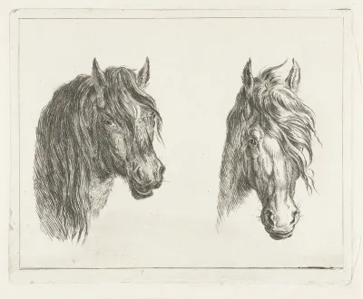 Twee paardenhoofden