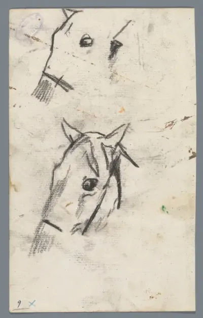 Twee paardenhoofden