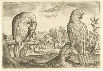 Twee papegaaien in een landschap
