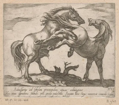 Twee parende paarden