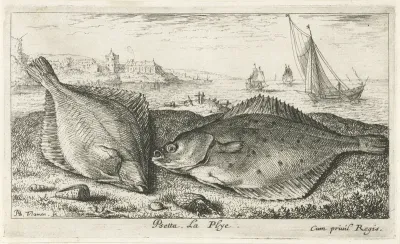 Twee platvissen op het strand