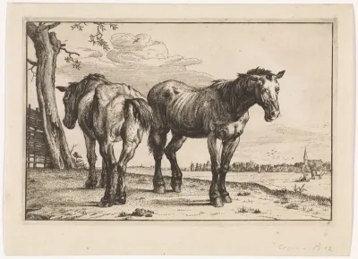 Twee ploegpaarden