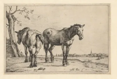 Twee ploegpaarden
