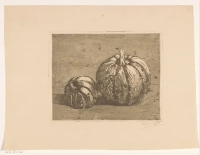 Twee pompoenen