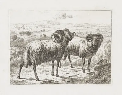 Twee rammen