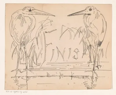 Twee reigers aan een waterkant