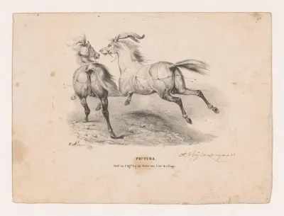 Twee rennende paarden
