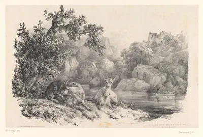Twee rustende geiten in een landschap