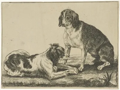 Twee rustende honden