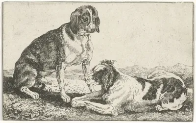 Twee rustende honden