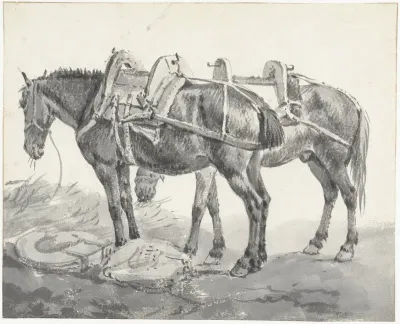 Twee rustende lastpaarden