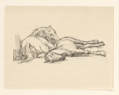 Twee rustende paarden