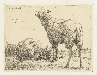Twee schapen