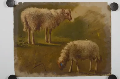 Twee schapen
