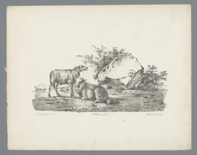 Twee schapen bij een rots
