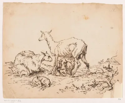 Twee schapen en drie lammeren