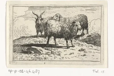 Twee schapen en een geit