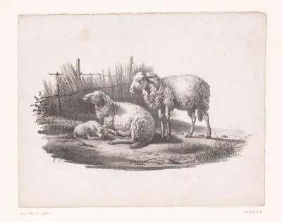 Twee schapen en een lam