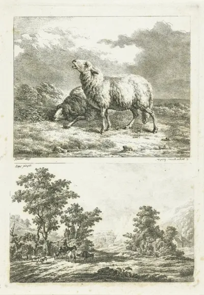 Twee schapen en een landschap