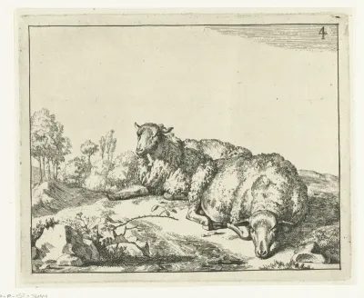Twee schapen liggend bij bramentak