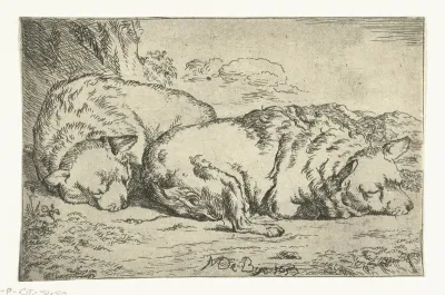 Twee slapende honden