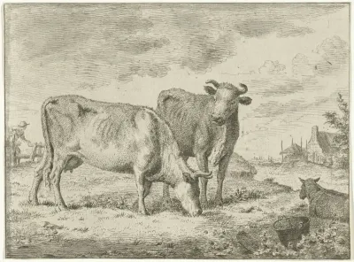 Twee staande koeien