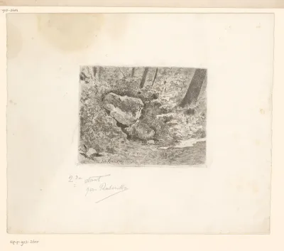 Twee stenen in een boslandschap