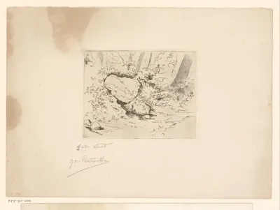 Twee stenen in een boslandschap