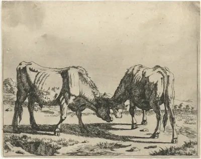 Twee stieren, de koppen bijeen