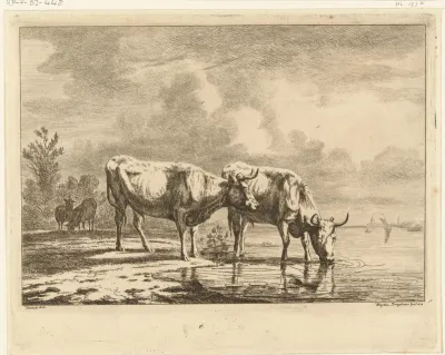 Twee stieren en twee schapen bij het water