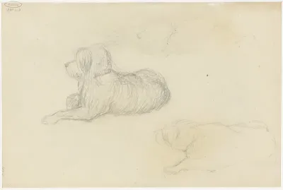 Twee studies van een hond