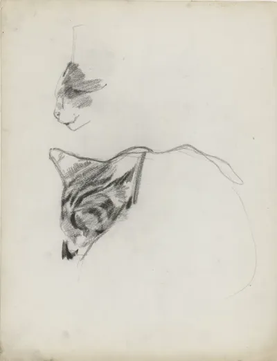 Twee studies van een kat