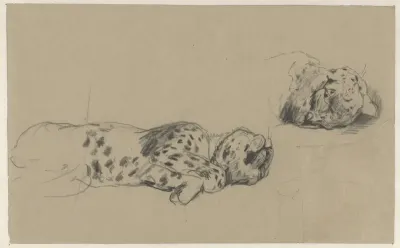 Twee studies van een luipaard