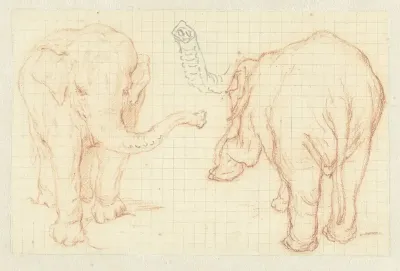 Twee studies van een olifant en een slurf