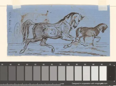 Twee studies van een paard
