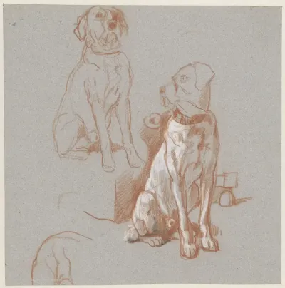 Twee studies van een zittende hond