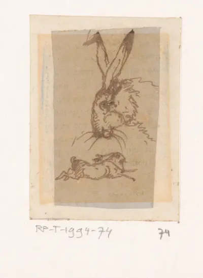 Twee studies van hazen