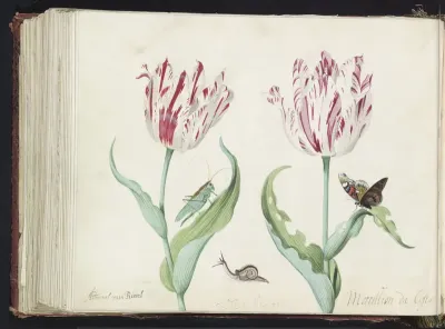 Twee tulpen met krekel, slak en vlinder