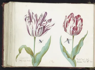Twee tulpen met twee vliegen