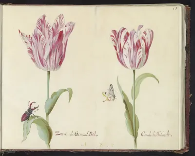 Twee tulpen met vliegend hert en vlinder