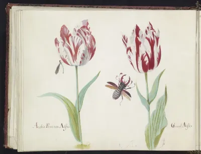 Twee tulpen met vliegend hert