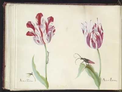 Twee tulpen met waterjuffer, rups en kever